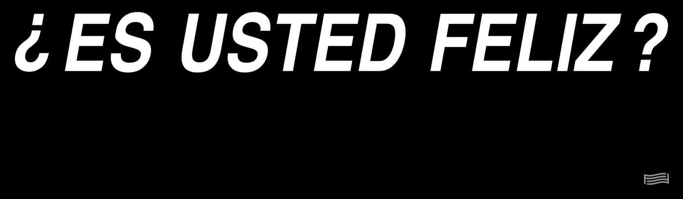 Alfredo Jaar, Es Usted Feliz