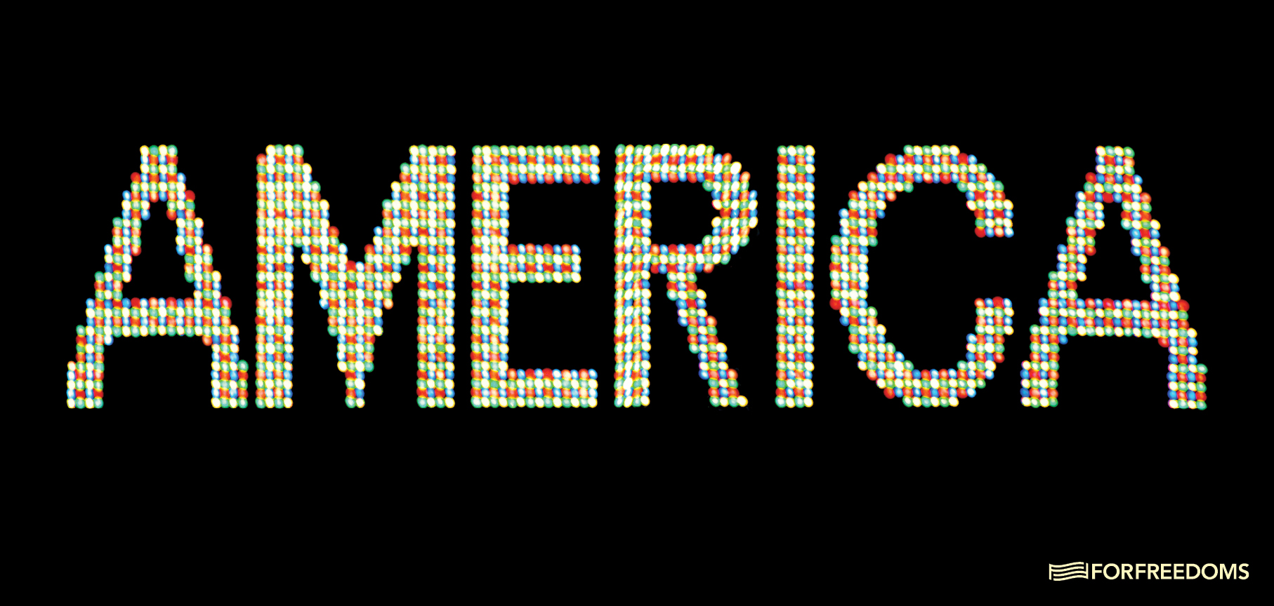 Alfredo Jaar, A Logo For America